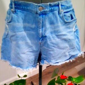 Loft Jean Shorts